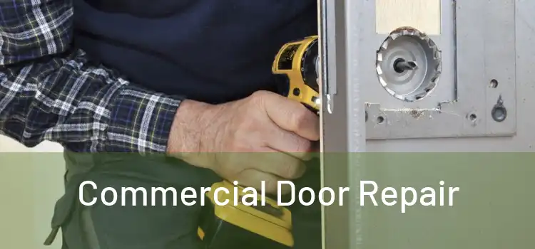  Commercial Door Repair 
