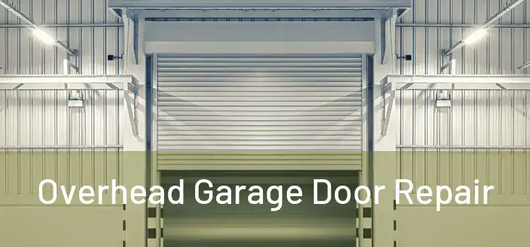  Overhead Garage Door Repair 